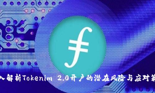 深入解析Tokenim 2.0开户的潜在风险与应对策略