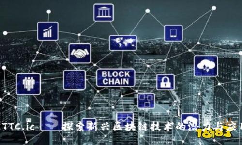 STTC.ic——探索新兴区块链技术的潜力与应用