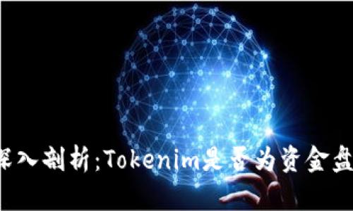 深入剖析：Tokenim是否为资金盘？