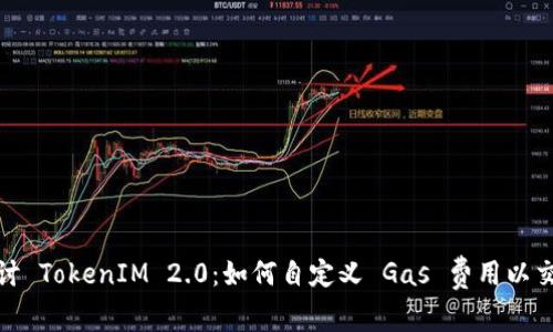 深入探讨 TokenIM 2.0：如何自定义 Gas 费用以交易体验
