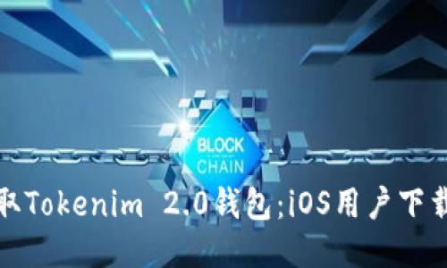 轻松获取Tokenim 2.0钱包：iOS用户下载全攻略