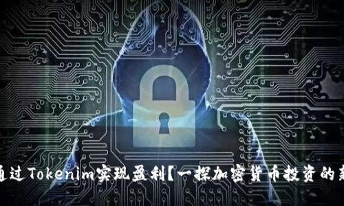 如何通过Tokenim实现盈利？一探加密货币投资的新机遇