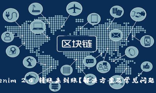 Tokenim 2.0 转账未到账？解决方案及常见问题解析