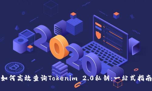 如何高效查询Tokenim 2.0私钥：一站式指南