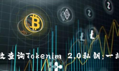 如何高效查询Tokenim 2.0私钥：一站式指南