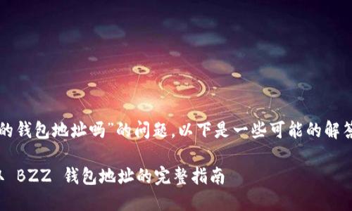 关于“tokenim 2.0有bzz的钱包地址吗”的问题，以下是一些可能的解答和信息，希望能帮助到你。

### Tokenim 2.0：获取 BZZ 钱包地址的完整指南