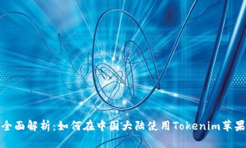 全面解析：如何在中国大陆使用Tokenim苹果