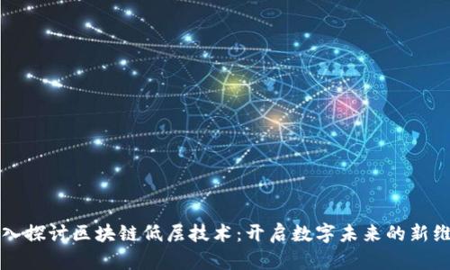 深入探讨区块链低层技术：开启数字未来的新维度