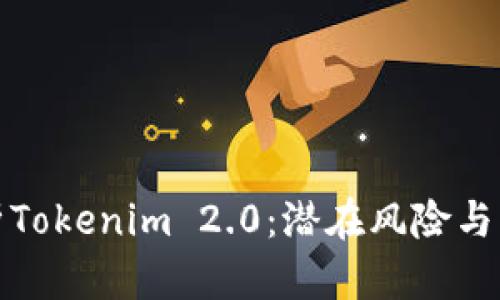全面剖析Tokenim 2.0：潜在风险与应对策略