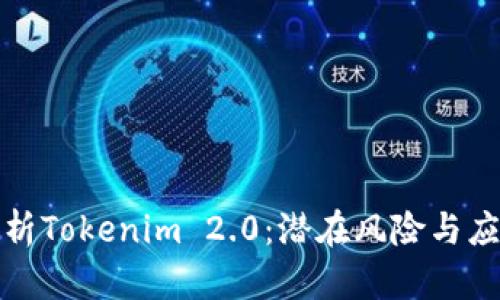 全面剖析Tokenim 2.0：潜在风险与应对策略
