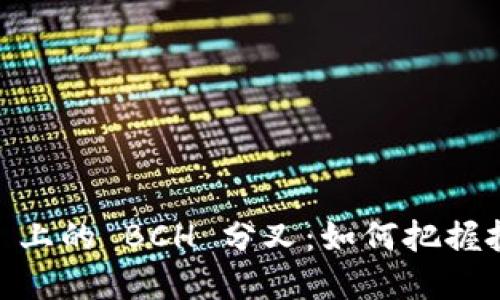 探索 Tokenim 2.0 上的 BCH 分叉：如何把握投资机会与未来趋势