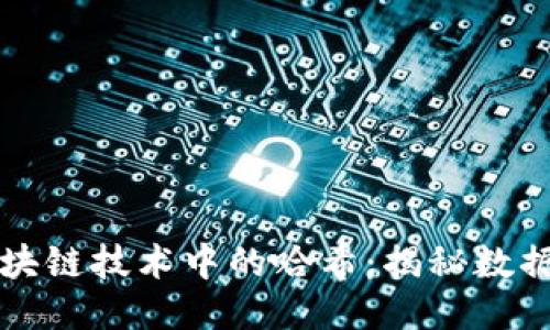 深入探讨区块链技术中的哈希：揭秘数据安全的核心