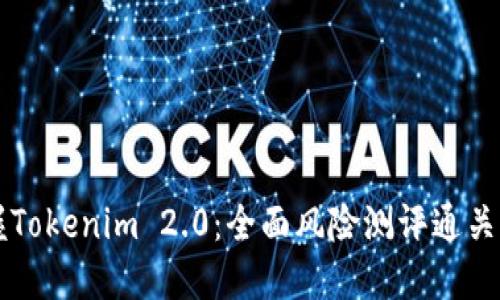 掌握Tokenim 2.0：全面风险测评通关指南