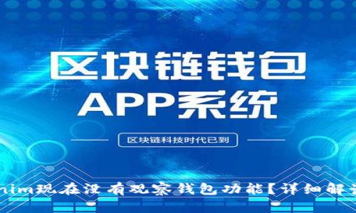 为什么Tokenim现在没有观察钱包功能？详细解读与前景展望