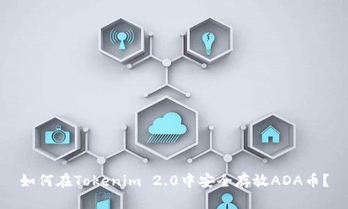 如何在Tokenim 2.0中安全存放ADA币？