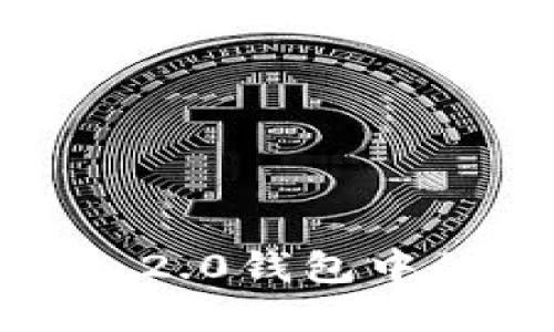 提升你在Tokenim 2.0钱包中的安全性：全面指南