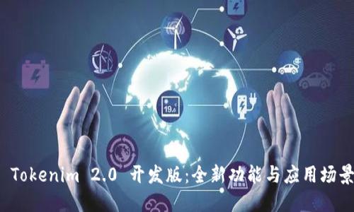 探索 Tokenim 2.0 开发版：全新功能与应用场景详解