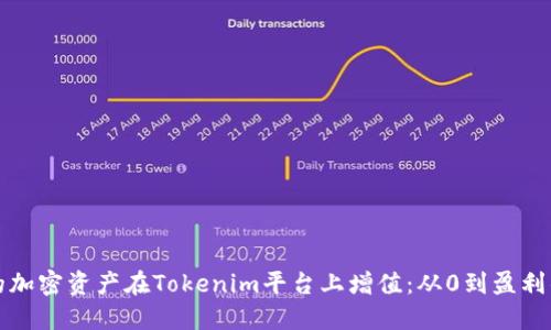 如何让你的加密资产在Tokenim平台上增值：从0到盈利的实用指南