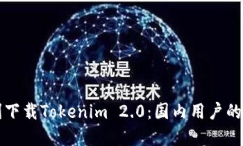 如何顺利下载Tokenim 2.0：国内用户的完整指南