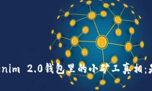 揭开Tokenim 2.0钱包里的小矿工真相：是否靠谱？