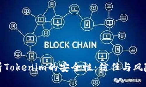 深入分析Tokenim的安全性：信任与风险的平衡