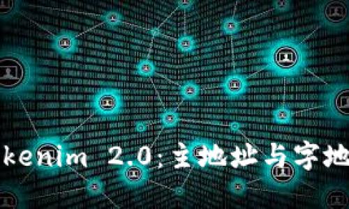 掌握Tokenim 2.0：主地址与字地址详解