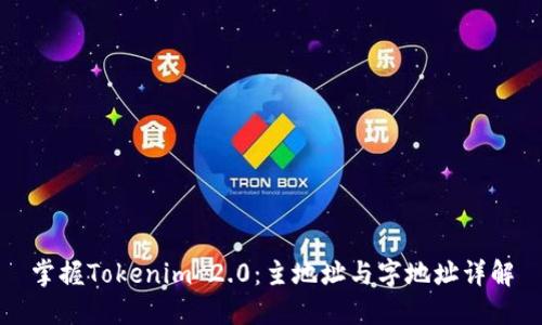 掌握Tokenim 2.0：主地址与字地址详解