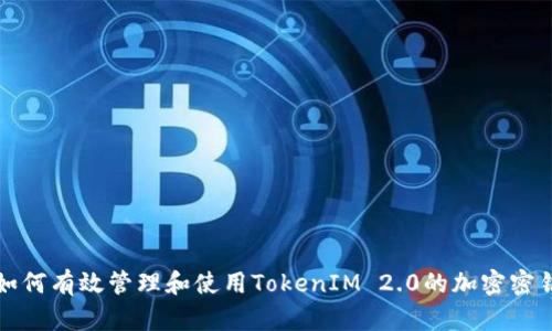 如何有效管理和使用TokenIM 2.0的加密密钥