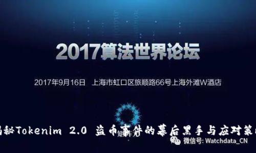 揭秘Tokenim 2.0 盗币事件的幕后黑手与应对策略