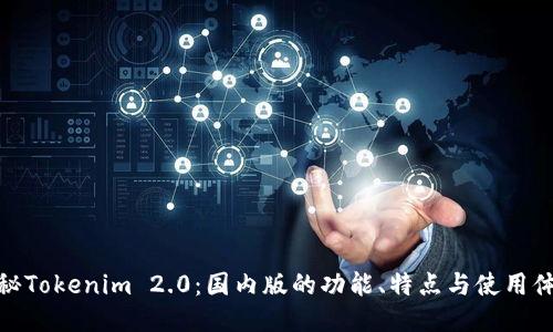 探秘Tokenim 2.0：国内版的功能、特点与使用体验