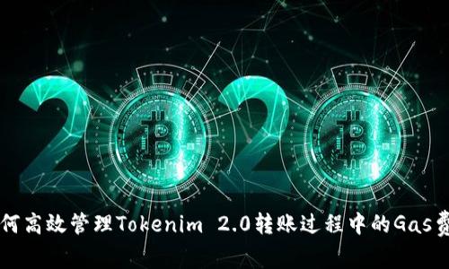 如何高效管理Tokenim 2.0转账过程中的Gas费用