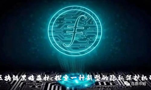 区块链黑暗森林：探索一种新型的隐私保护机制