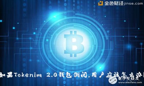 如果Tokenim 2.0钱包倒闭，用户应该怎么办？