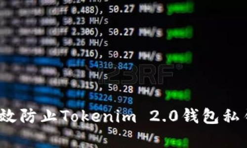 如何有效防止Tokenim 2.0钱包私钥被盗？