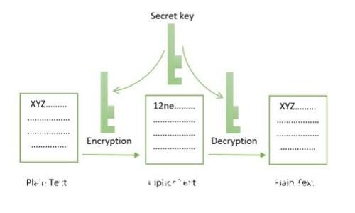 : 关于Tokenim转钱包的费用与扣点解析