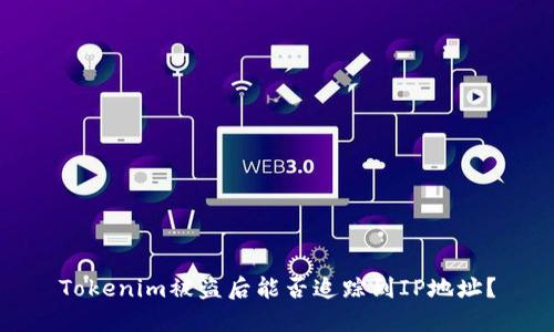 Tokenim被盗后能否追踪到IP地址？