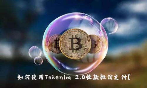 如何使用Tokenim 2.0收款微信支付？