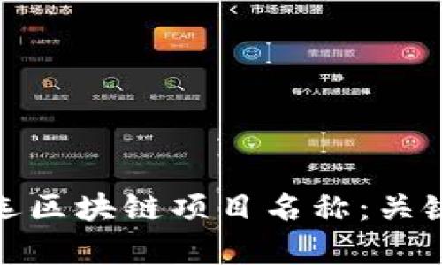 如何有效筛选区块链项目名称：关键策略与建议