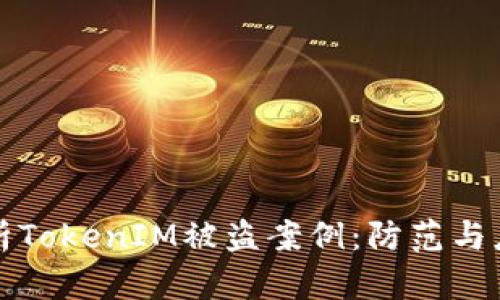 深入解析TokenIM被盗案例：防范与应对策略