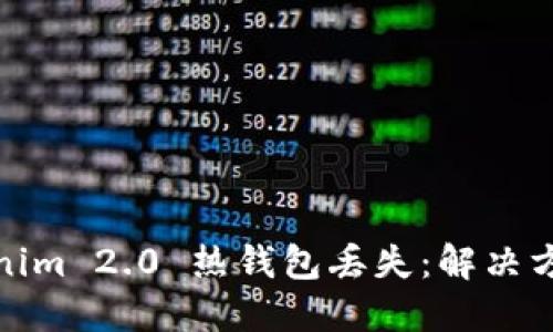 如何应对Tokenim 2.0 热钱包丢失：解决方案与预防措施