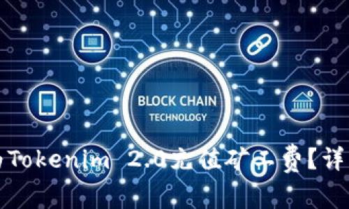 如何为Tokenim 2.0充值矿工费？详细指南