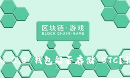 Tokenim 2.0 钱包能否存储 BTC？详细解析