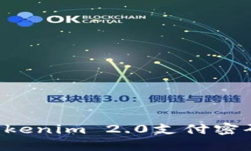 如何找回Tokenim 2.0支付密码：完整指南