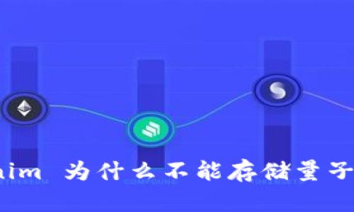 Tokenim 为什么不能存储量子数据？