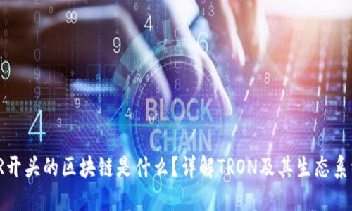 TR开头的区块链是什么？详解TRON及其生态系统