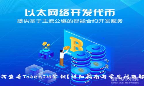 如何查看TokenIM公钥？详细指南与常见问题解答