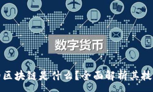 : 
谷歌和苹果的区块链是什么？全面解析其技术应用与前景