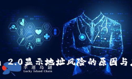 Tokenim 2.0显示地址风险的原因与应对策略