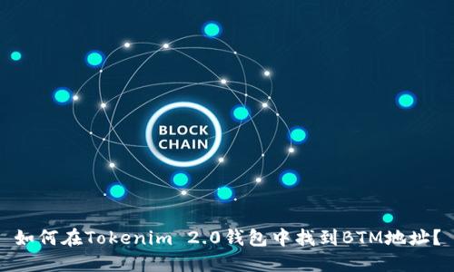 如何在Tokenim 2.0钱包中找到BTM地址？