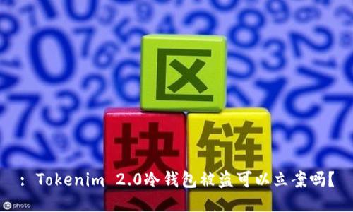 : Tokenim 2.0冷钱包被盗可以立案吗？